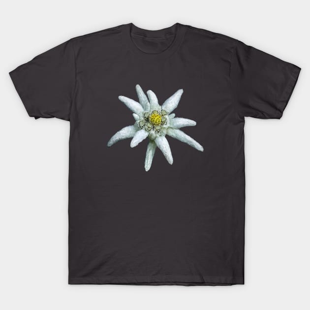 Edelweiss T-Shirt by sibosssr
